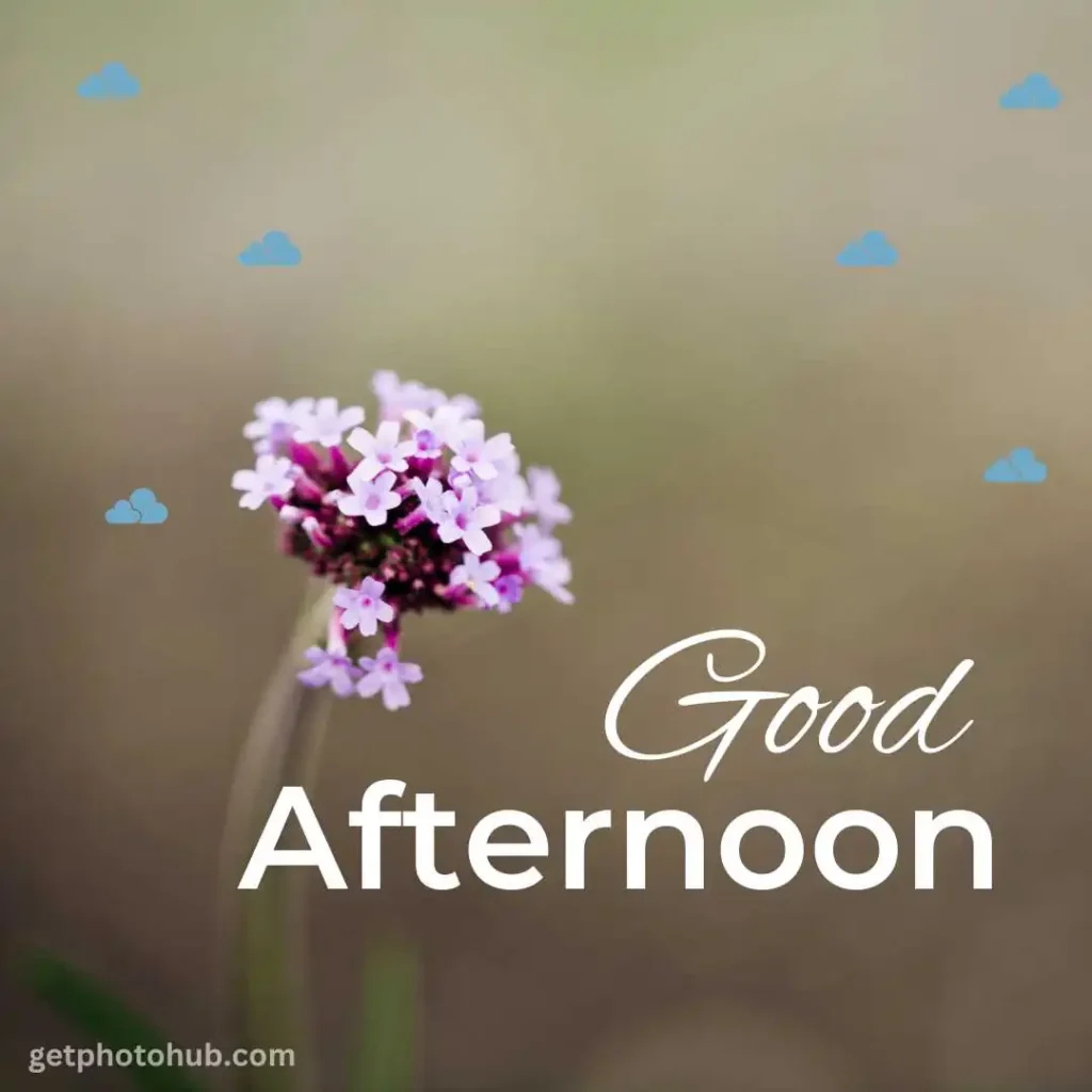 New Good Afternoon Image