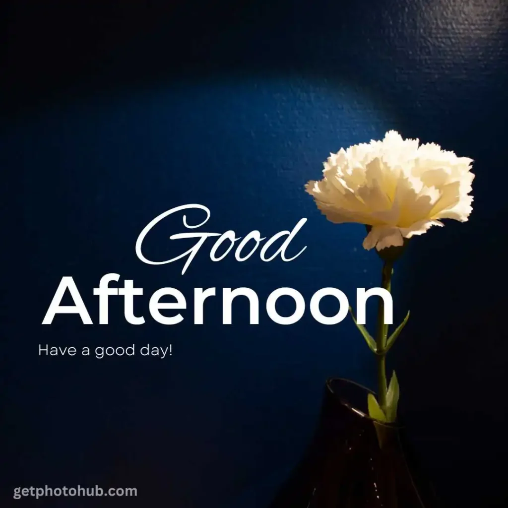 New Good Afternoon Image