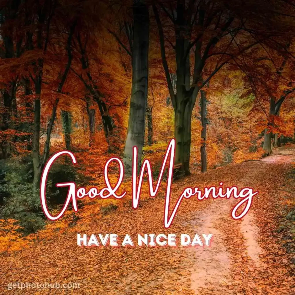 Autumn Good Morning Image