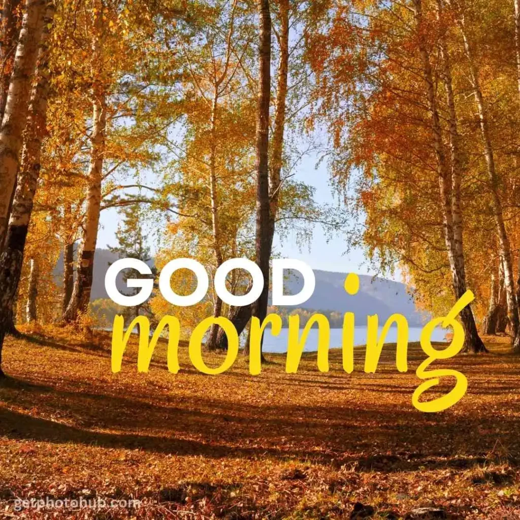 Autumn Good Morning Image