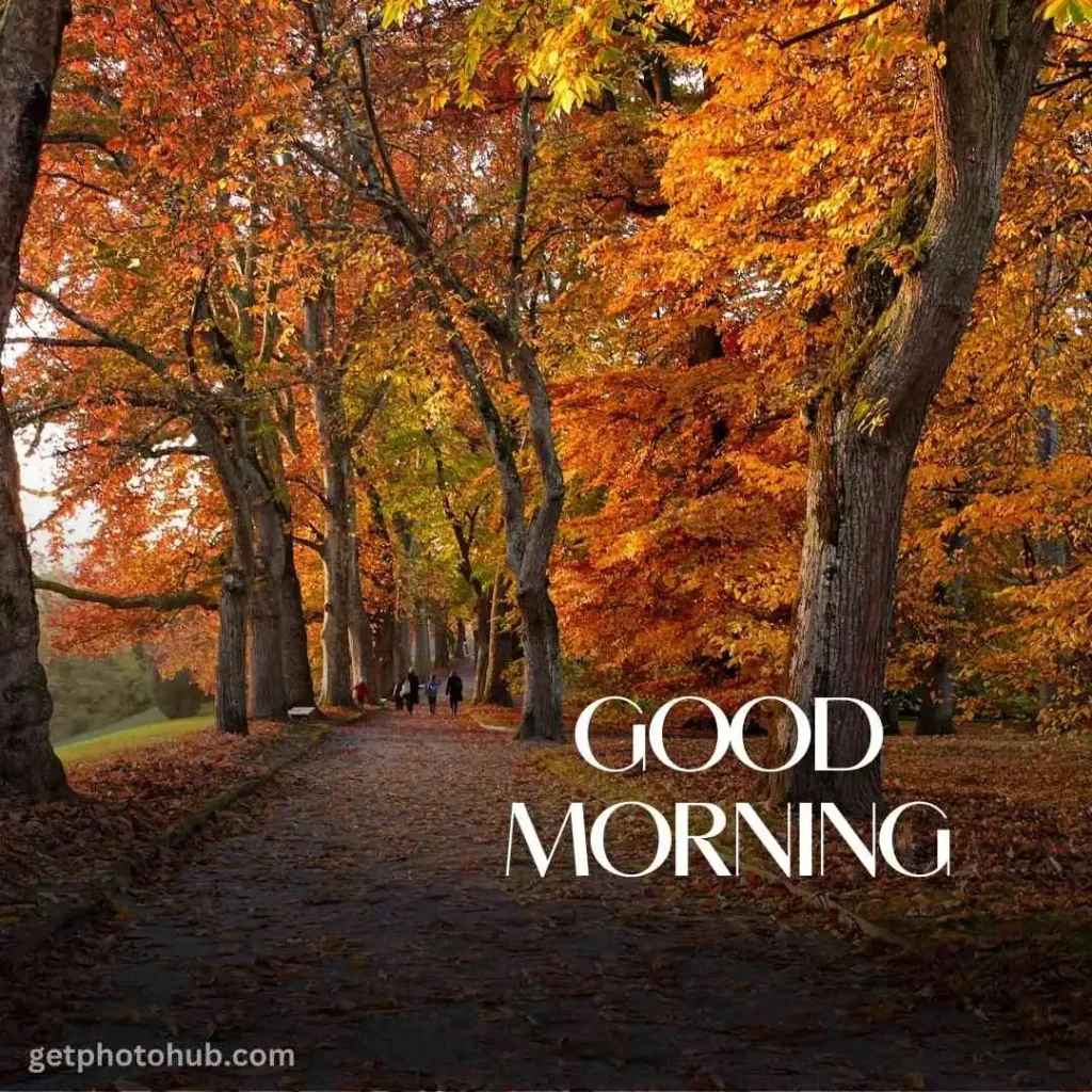 Autumn Good Morning Image