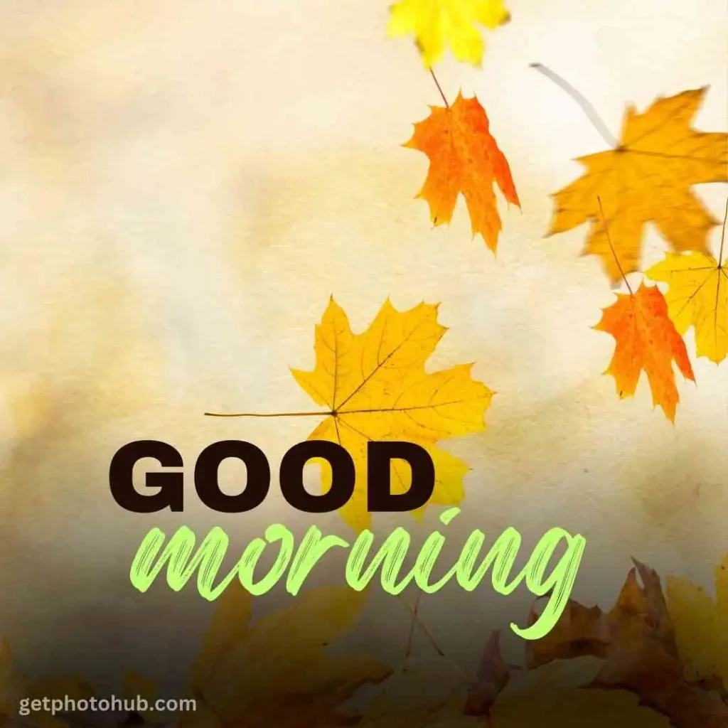 Autumn Good Morning Image