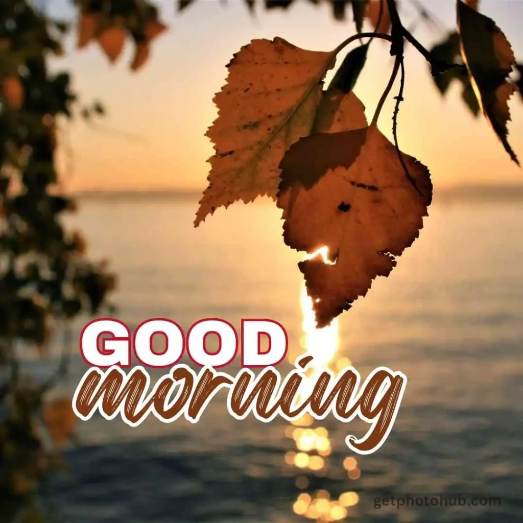 Autumn Good Morning Image