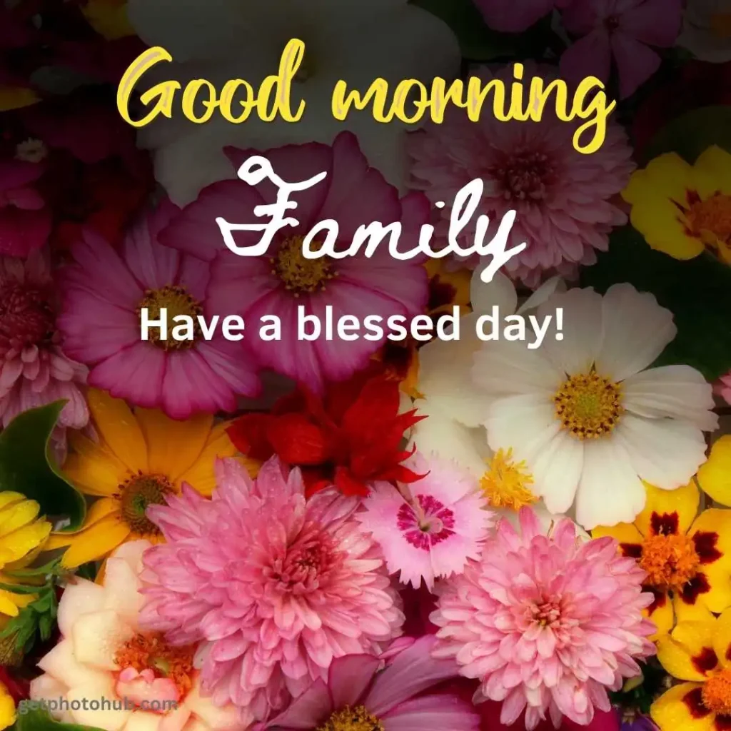 Good Morning My Family