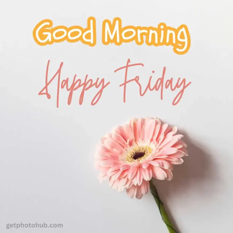 Good Morning Friday Images, Wishes & Photos for Everyone