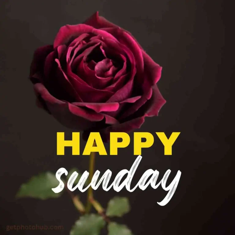 Good Morning Happy Sunday Images: HD Sunday Morning Photos