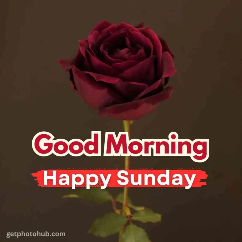 Good Morning Happy Sunday Pic