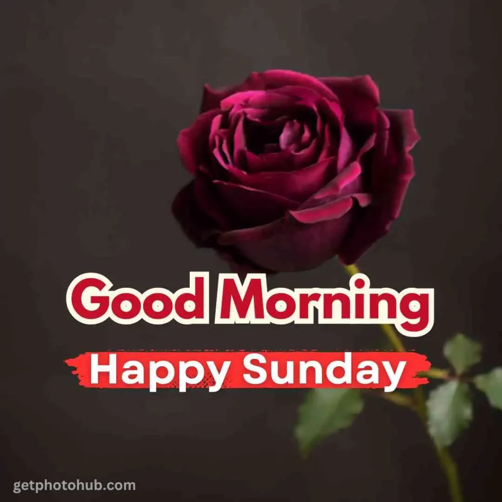 Good Morning Happy Sunday Pic