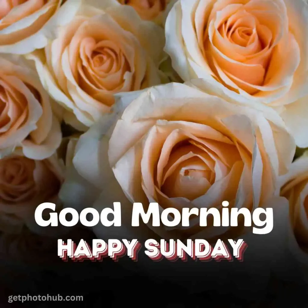 Morning Happy Sunday Image