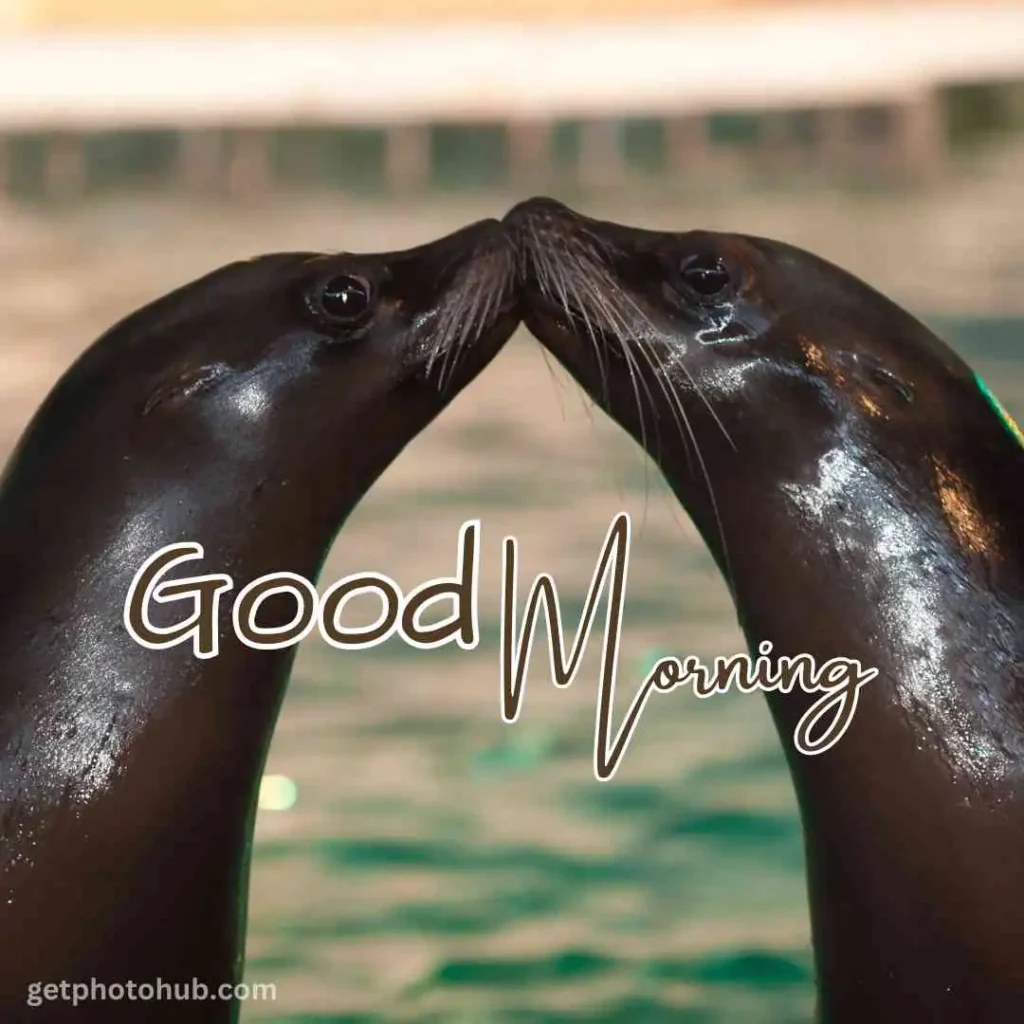 Good Morning Kiss Image