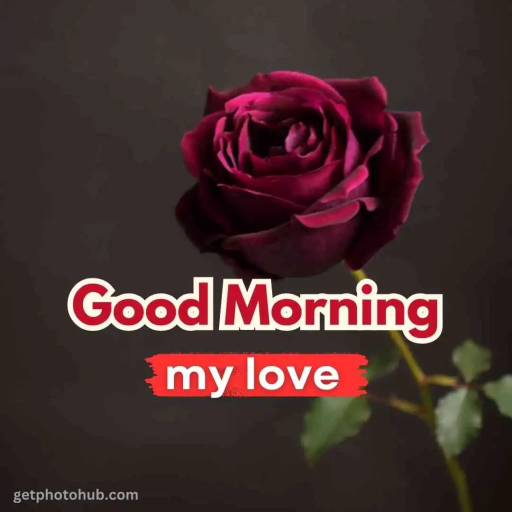 Good Morning Love Photo