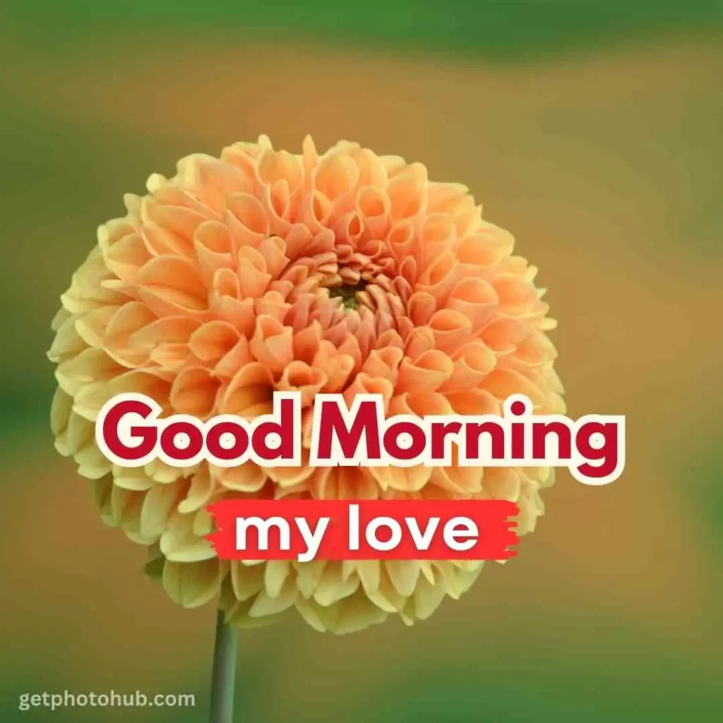 Good Morning Love Photo