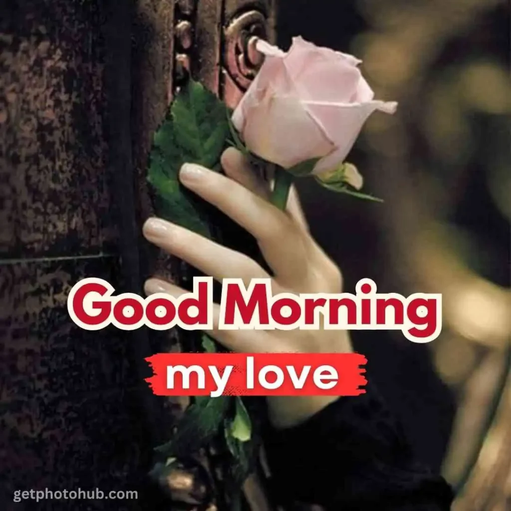 Good Morning Love Photo