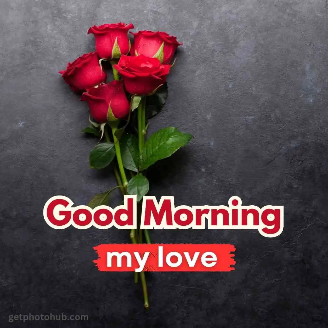 110+ Romantic Good Morning Love Images for Your Lover