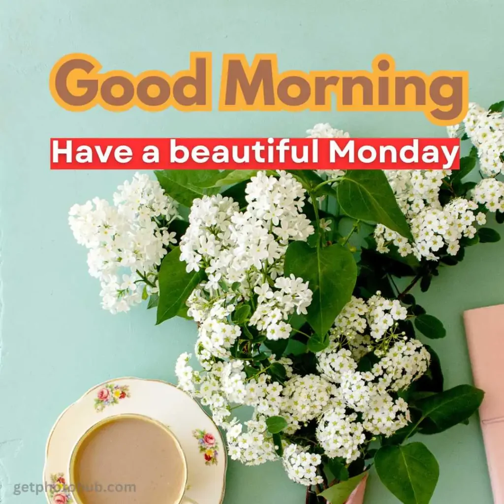 Good Morning Monday Image