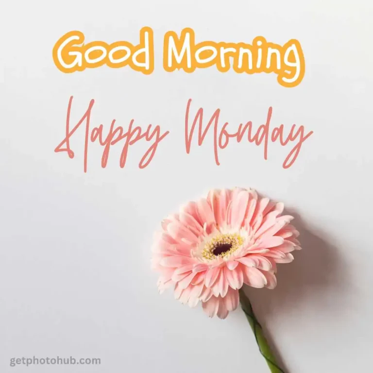 Good Morning Monday Images, Picture & HD Photos