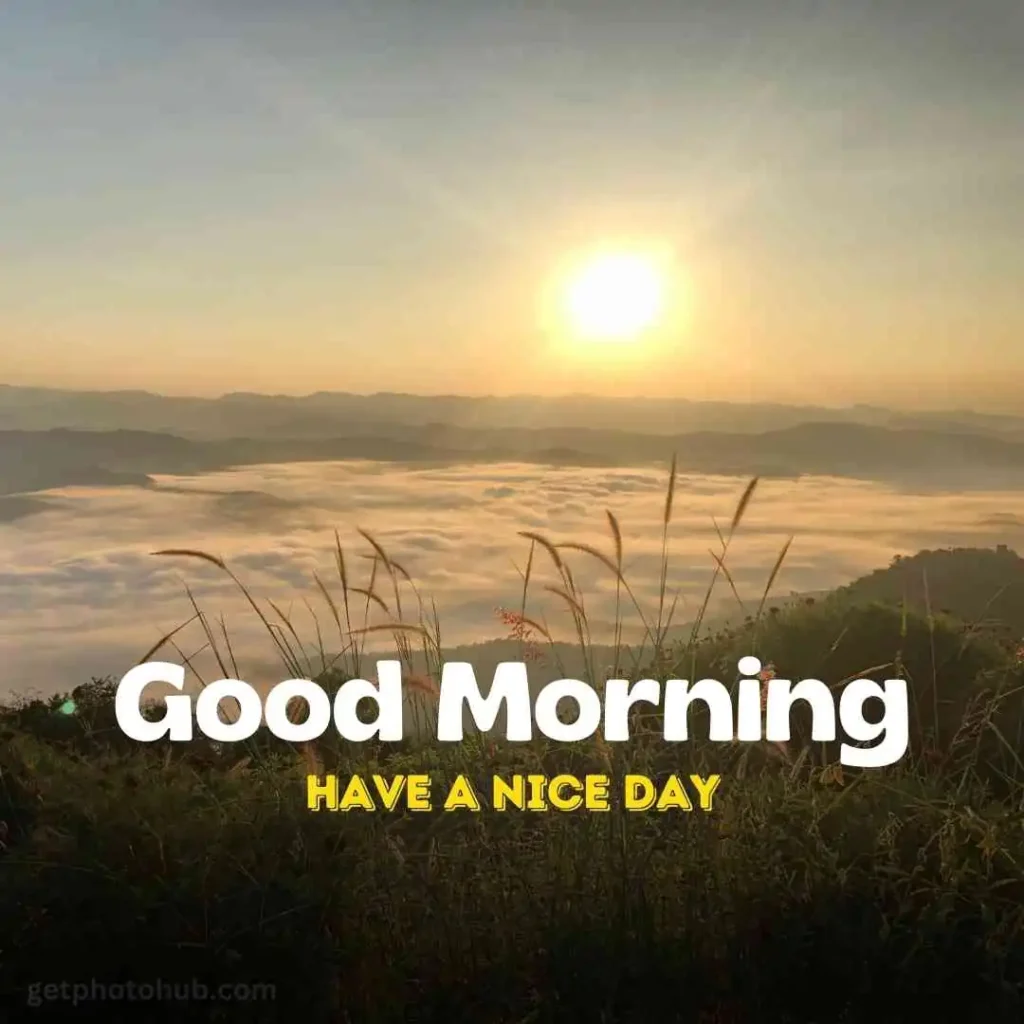 New Good Morning Nature Image