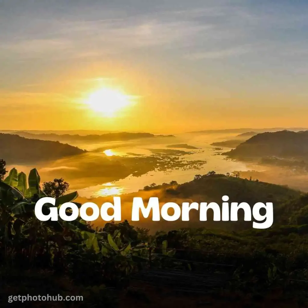 New Good Morning Nature Image