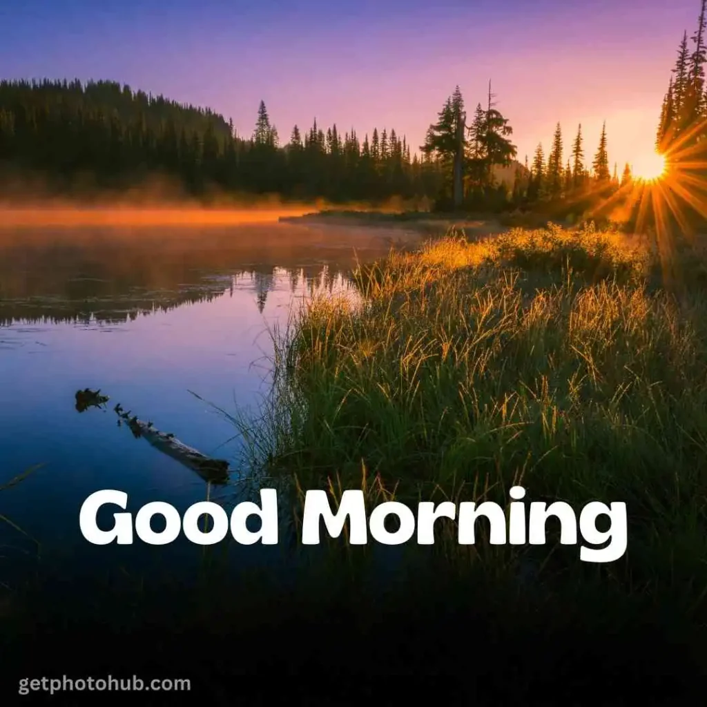 New Good Morning Nature Image