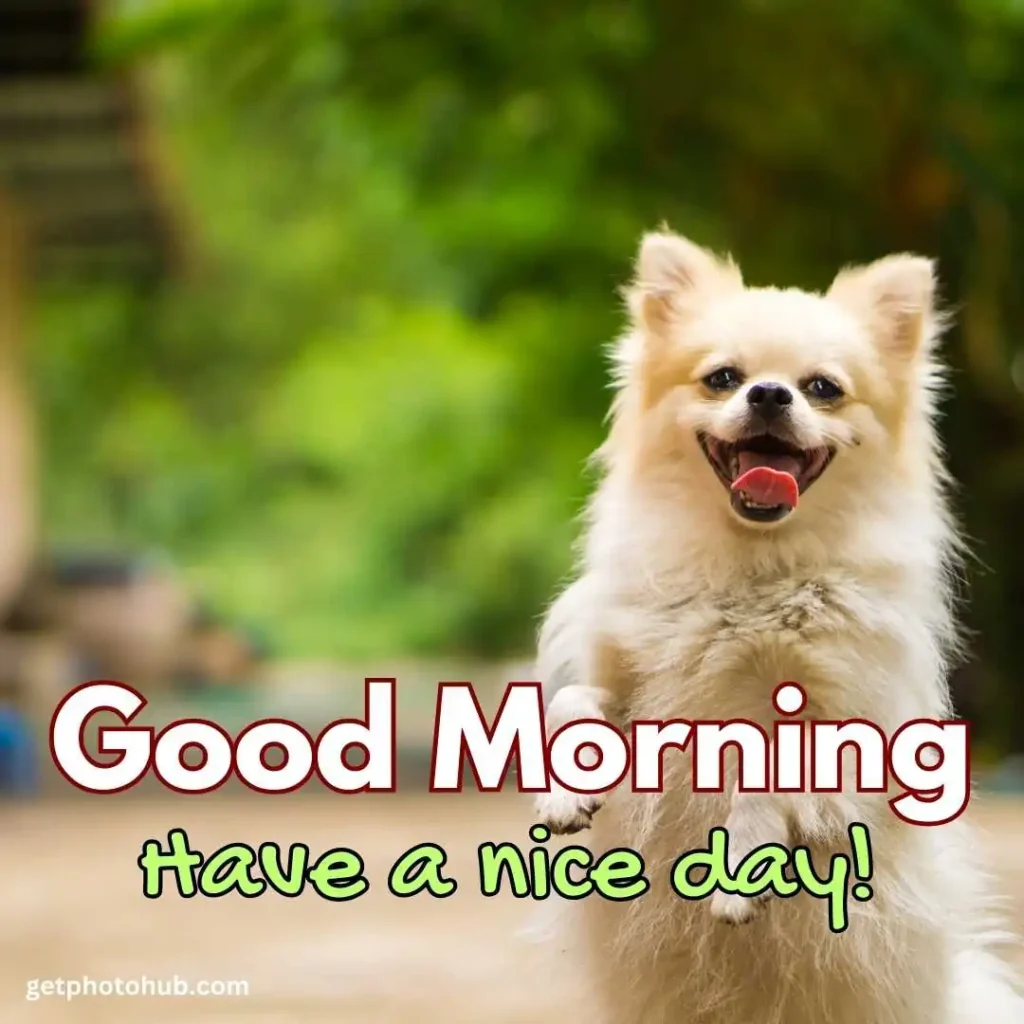 Puppy Saying Good Morning