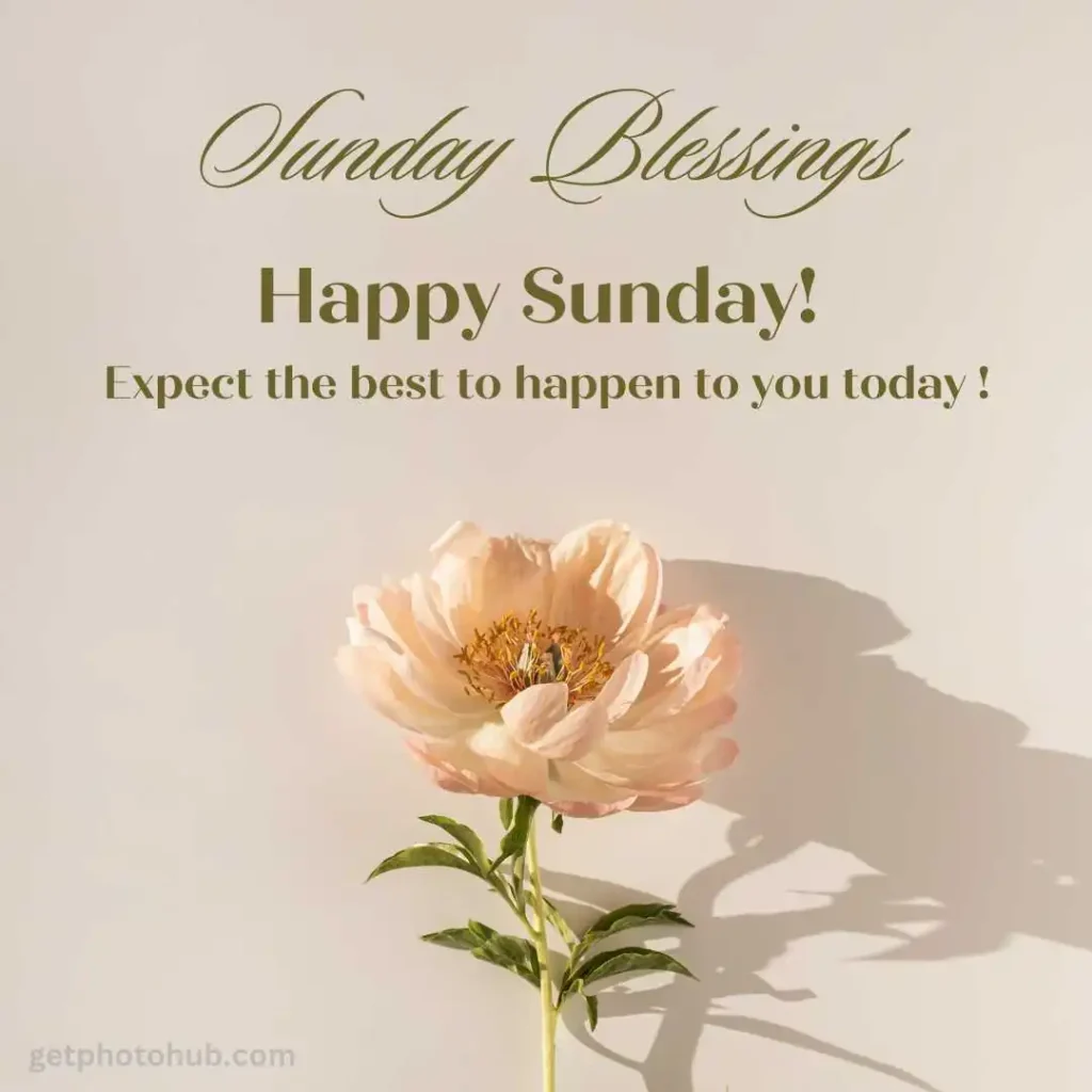 Good Morning Sunday Blessings