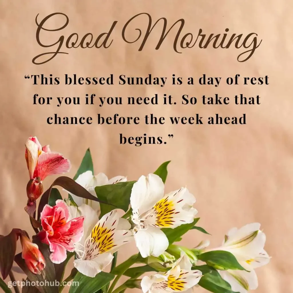 Good Morning Sunday Blessings