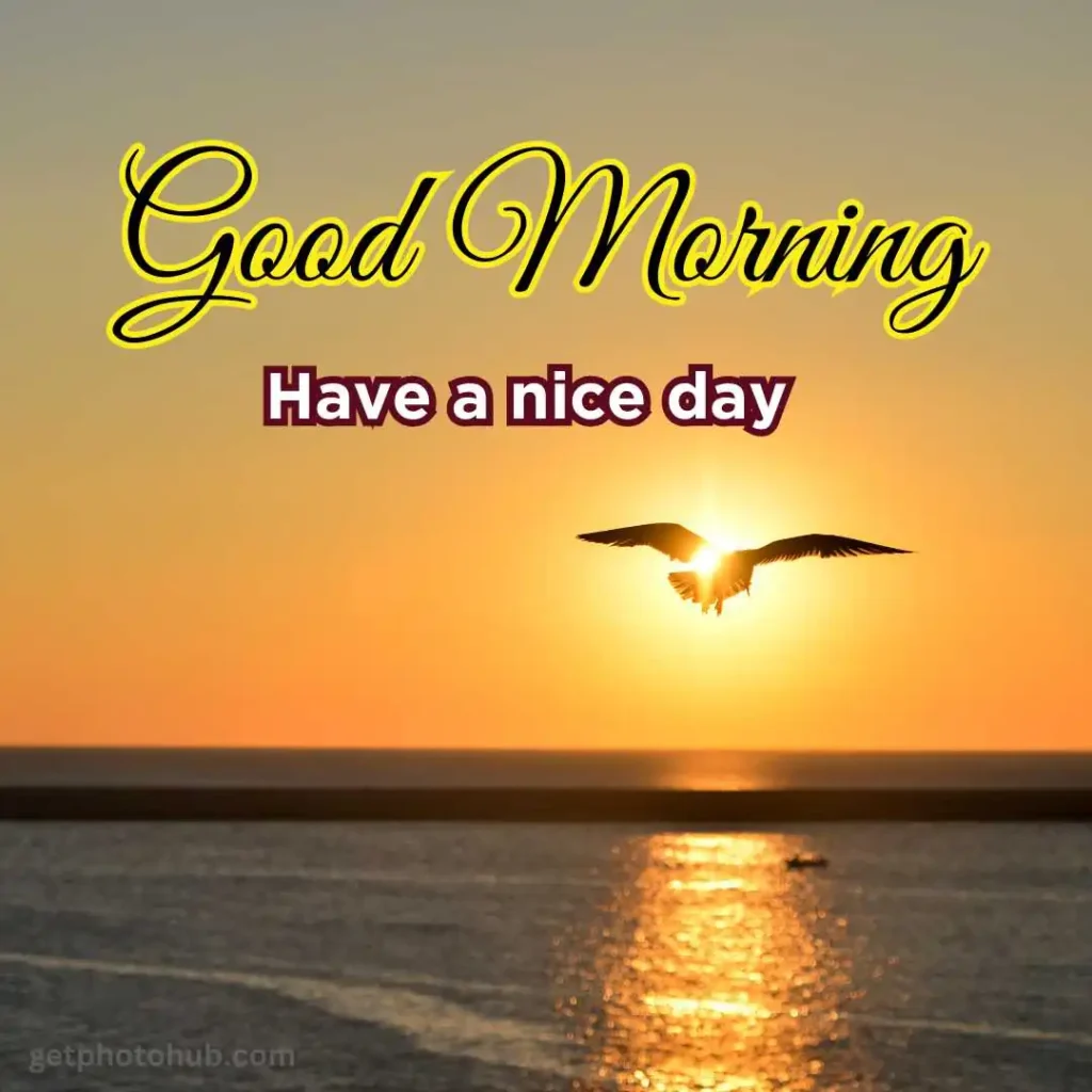 Good Morning Sunrise Image