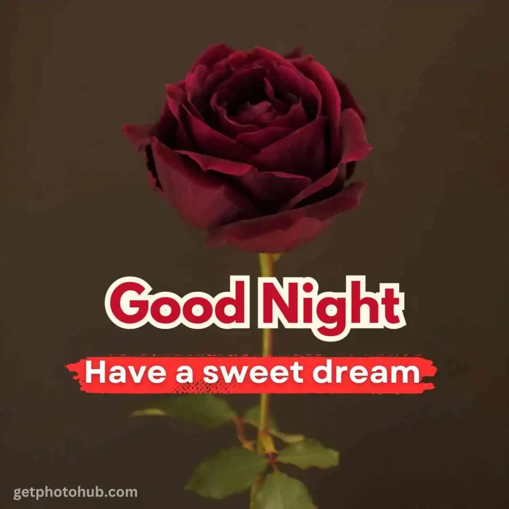 New Good Night Love Pic