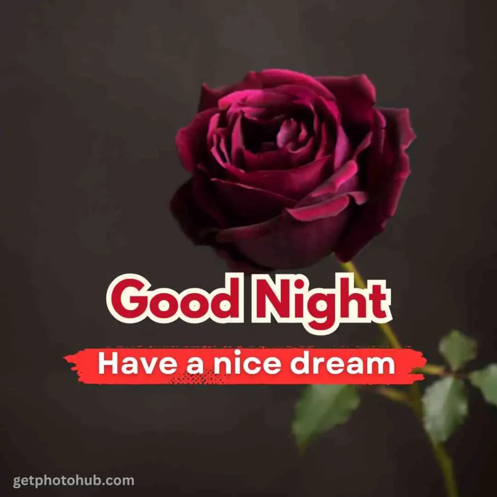 New Good Night Love Pic