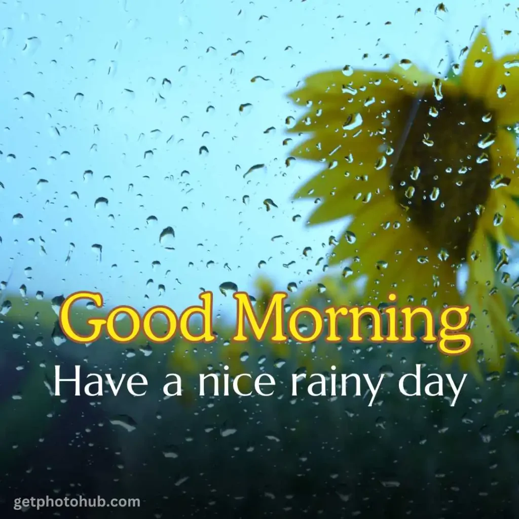 Good Morning Rainy Day Image