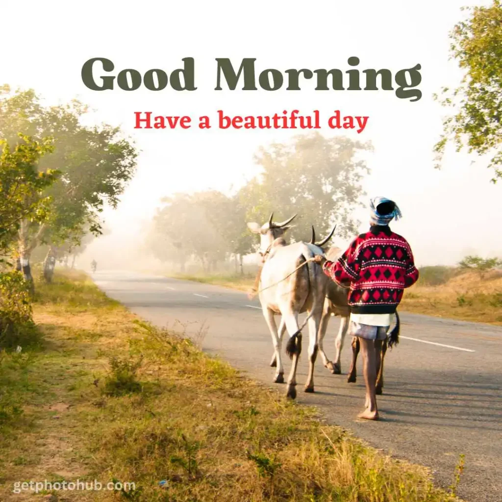 Good Morning Village Image