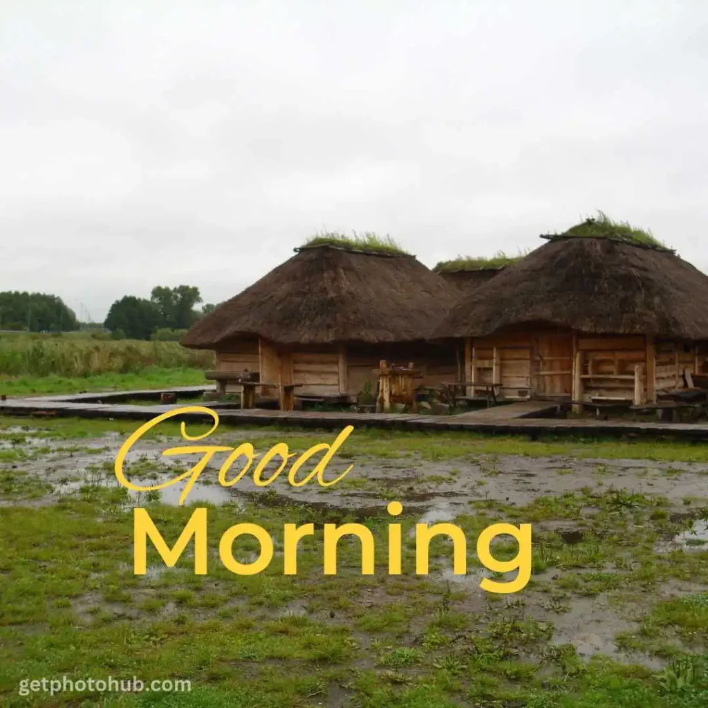 Village Good Morning Nature Image