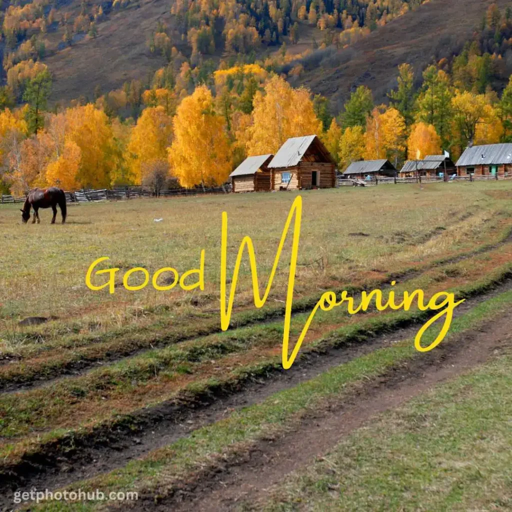 Village Good Morning Nature Image