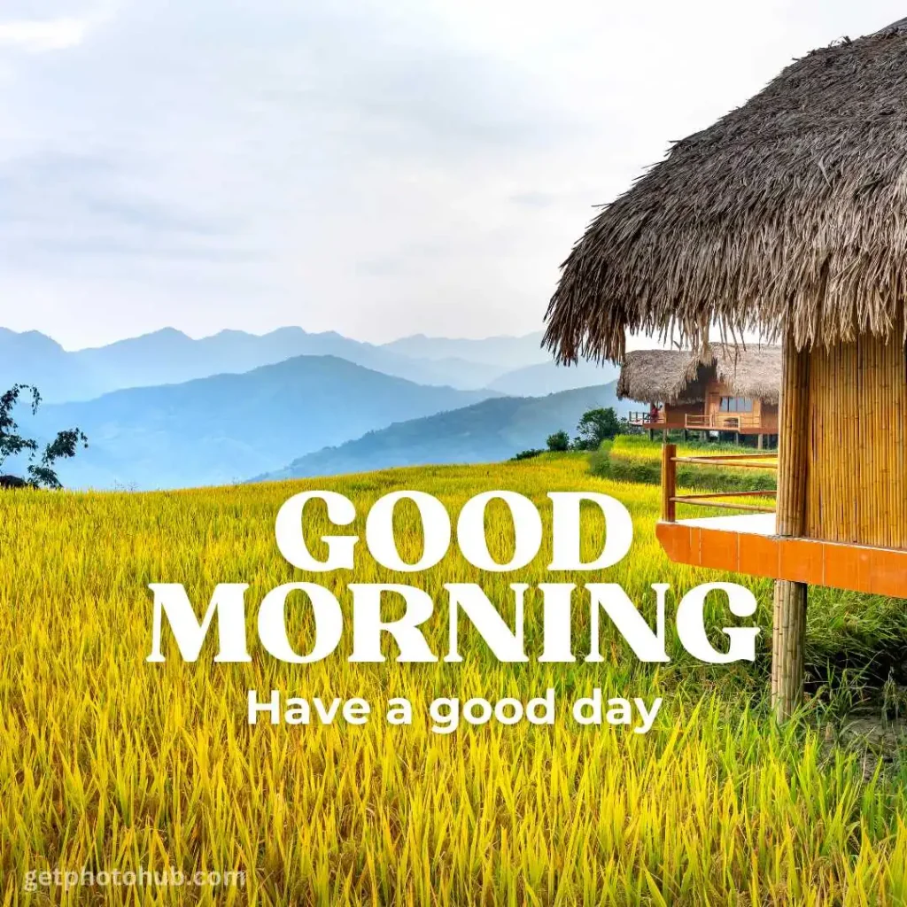 Good Morning Village Image