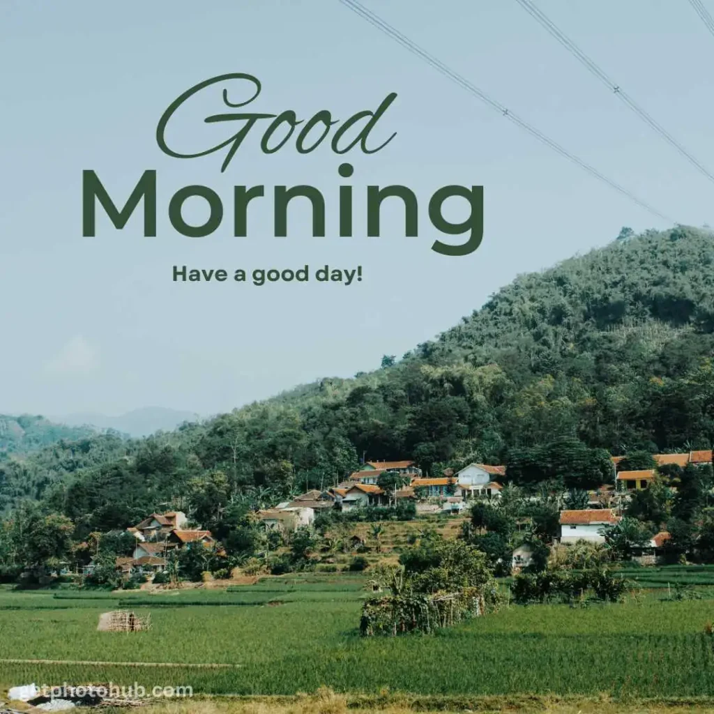 Village Good Morning Nature Image